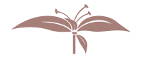 Edanne Beautycenter Logo